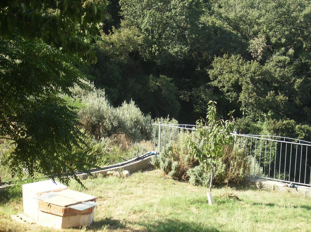 Maremma Verde Daire Montorgiali Oda fotoğraf
